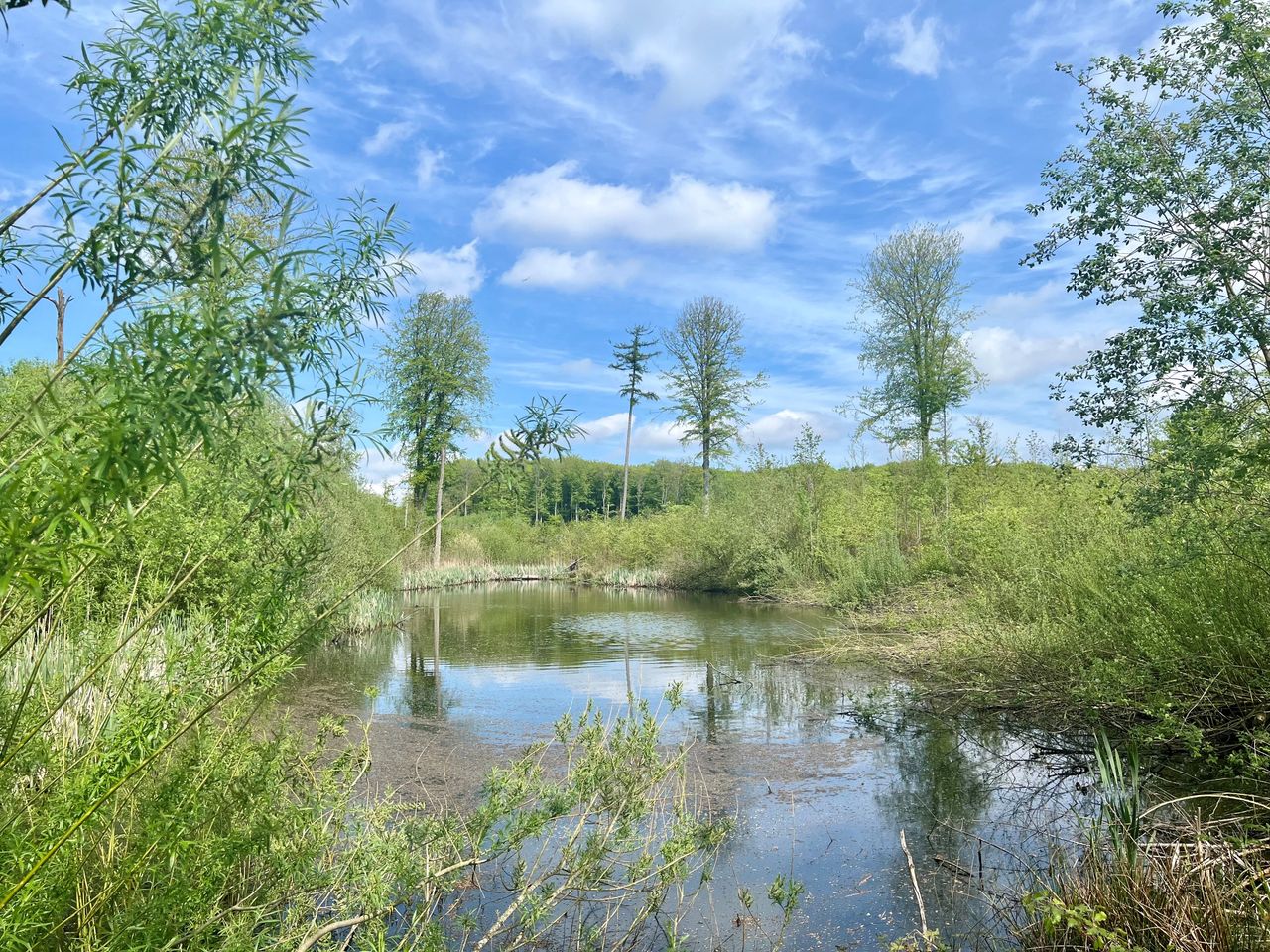 image 03